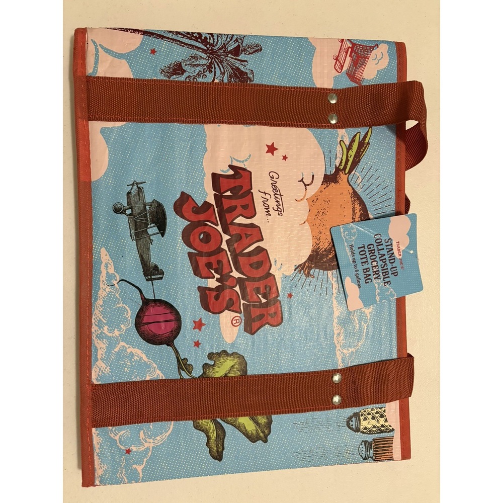Trader Joe's NEW 💚 STAND-UP COLLAPSIBLE REUSABLE GROCERY SHOPPING TOTE GIFT BAG